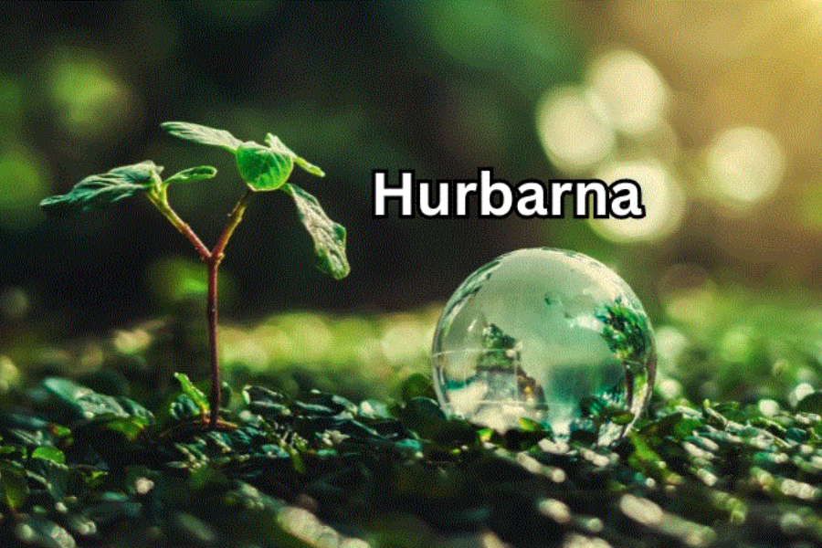 hurbarna